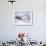 Polar Bear Sow with Spring Cubs Scavenging on a Bowhead Whale, Alaska, USA-Steve Kazlowski-Framed Photographic Print displayed on a wall