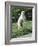 Polar Bear Standing Up Full Bleed-Martin Fowkes-Framed Giclee Print