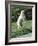 Polar Bear Standing Up Full Bleed-Martin Fowkes-Framed Giclee Print