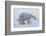 Polar bear standing with cub peering out behind, Norway-Danny Green-Framed Photographic Print