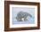 Polar bear standing with cub peering out behind, Norway-Danny Green-Framed Photographic Print