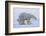 Polar bear standing with cub peering out behind, Norway-Danny Green-Framed Photographic Print