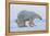 Polar bear standing with cub peering out behind, Norway-Danny Green-Framed Premier Image Canvas