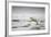 Polar Bear, Svalbard, Norway-Paul Souders-Framed Photographic Print