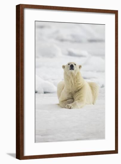 Polar Bear, Svalbard, Norway-Paul Souders-Framed Photographic Print