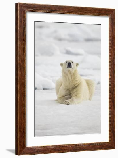 Polar Bear, Svalbard, Norway-Paul Souders-Framed Photographic Print