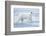 Polar Bear, Svalbard, Norway-null-Framed Photographic Print