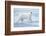 Polar Bear, Svalbard, Norway-null-Framed Photographic Print