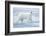 Polar Bear, Svalbard, Norway-null-Framed Photographic Print