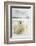 Polar Bear, Svalbard, Norway-null-Framed Photographic Print