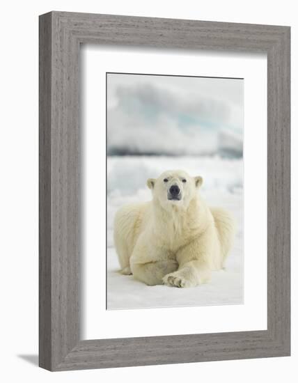 Polar Bear, Svalbard, Norway-null-Framed Photographic Print