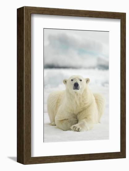 Polar Bear, Svalbard, Norway-null-Framed Photographic Print