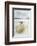 Polar Bear, Svalbard, Norway-null-Framed Photographic Print