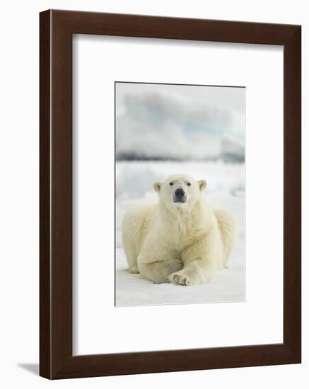 Polar Bear, Svalbard, Norway-null-Framed Photographic Print