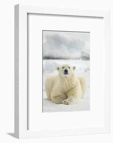 Polar Bear, Svalbard, Norway-null-Framed Photographic Print