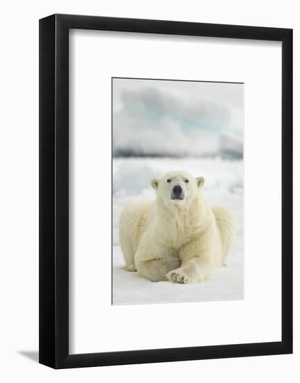 Polar Bear, Svalbard, Norway-null-Framed Photographic Print