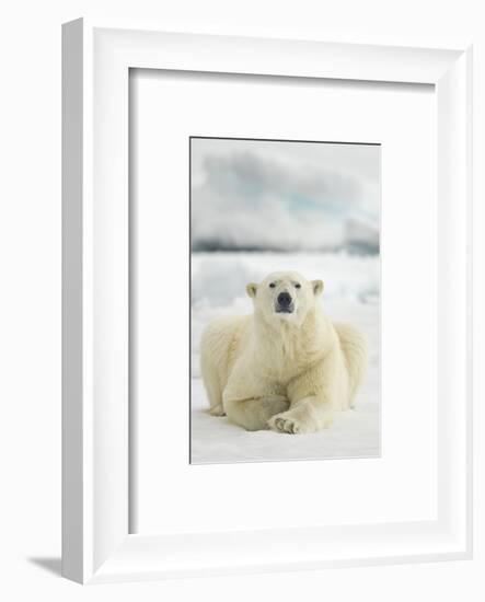 Polar Bear, Svalbard, Norway-null-Framed Photographic Print