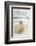 Polar Bear, Svalbard, Norway-null-Framed Photographic Print