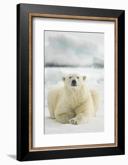 Polar Bear, Svalbard, Norway-null-Framed Photographic Print