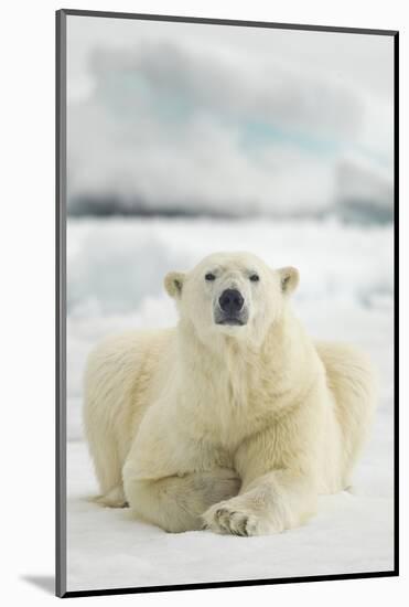 Polar Bear, Svalbard, Norway-null-Mounted Photographic Print