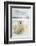 Polar Bear, Svalbard, Norway-null-Framed Photographic Print