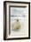 Polar Bear, Svalbard, Norway-null-Framed Photographic Print