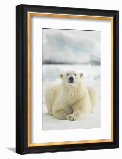 Polar Bear, Svalbard, Norway-null-Framed Photographic Print