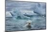 Polar Bear Swimming Near Melting Iceberg Near Harbor Islands,Canada-Paul Souders-Mounted Photographic Print