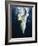 Polar Bear Swimming-Stuart Westmorland-Framed Photographic Print