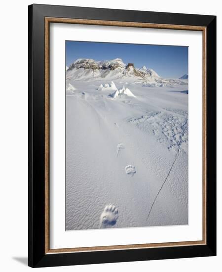 Polar Bear Track, Billefjord, Svalbard, Spitzbergen, Arctic, Norway, Scandinavia, Europe-Milse Thorsten-Framed Photographic Print