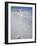 Polar Bear Track, Billefjord, Svalbard, Spitzbergen, Arctic, Norway, Scandinavia, Europe-Milse Thorsten-Framed Photographic Print