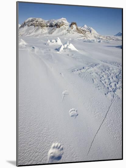Polar Bear Track, Billefjord, Svalbard, Spitzbergen, Arctic, Norway, Scandinavia, Europe-Milse Thorsten-Mounted Photographic Print