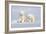 Polar Bear Twins-Howard Ruby-Framed Photographic Print