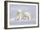 Polar Bear Twins-Howard Ruby-Framed Photographic Print