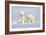 Polar Bear Twins-Howard Ruby-Framed Photographic Print