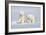 Polar Bear Twins-Howard Ruby-Framed Photographic Print