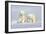 Polar Bear Twins-Howard Ruby-Framed Photographic Print