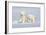 Polar Bear Twins-Howard Ruby-Framed Photographic Print