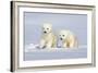 Polar Bear Twins-Howard Ruby-Framed Photographic Print