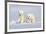 Polar Bear Twins-Howard Ruby-Framed Photographic Print