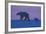 Polar Bear (Ursus Maritimus) and Cub, Wapusk National Park, Churchill, Hudson Bay, Manitoba, Canada-David Jenkins-Framed Photographic Print