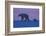 Polar Bear (Ursus Maritimus) and Cub, Wapusk National Park, Churchill, Hudson Bay, Manitoba, Canada-David Jenkins-Framed Photographic Print