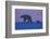 Polar Bear (Ursus Maritimus) and Cub, Wapusk National Park, Churchill, Hudson Bay, Manitoba, Canada-David Jenkins-Framed Photographic Print