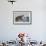 Polar Bear (Ursus Maritimus) and Cubs, Wapusk National Park, Churchill, Hudson Bay, Canada-David Jenkins-Framed Photographic Print displayed on a wall