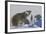 Polar Bear (Ursus Maritimus) and Cubs, Wapusk National Park, Churchill, Hudson Bay, Canada-David Jenkins-Framed Photographic Print