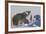 Polar Bear (Ursus Maritimus) and Cubs, Wapusk National Park, Churchill, Hudson Bay, Canada-David Jenkins-Framed Photographic Print