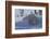 Polar Bear (Ursus Maritimus) and Cubs, Wapusk National Park, Churchill, Hudson Bay, Canada-David Jenkins-Framed Photographic Print