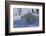 Polar Bear (Ursus Maritimus) and Cubs, Wapusk National Park, Churchill, Hudson Bay, Canada-David Jenkins-Framed Photographic Print