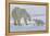 Polar Bear (Ursus Maritimus) and Cubs-David Jenkins-Framed Premier Image Canvas