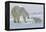 Polar Bear (Ursus Maritimus) and Cubs-David Jenkins-Framed Premier Image Canvas